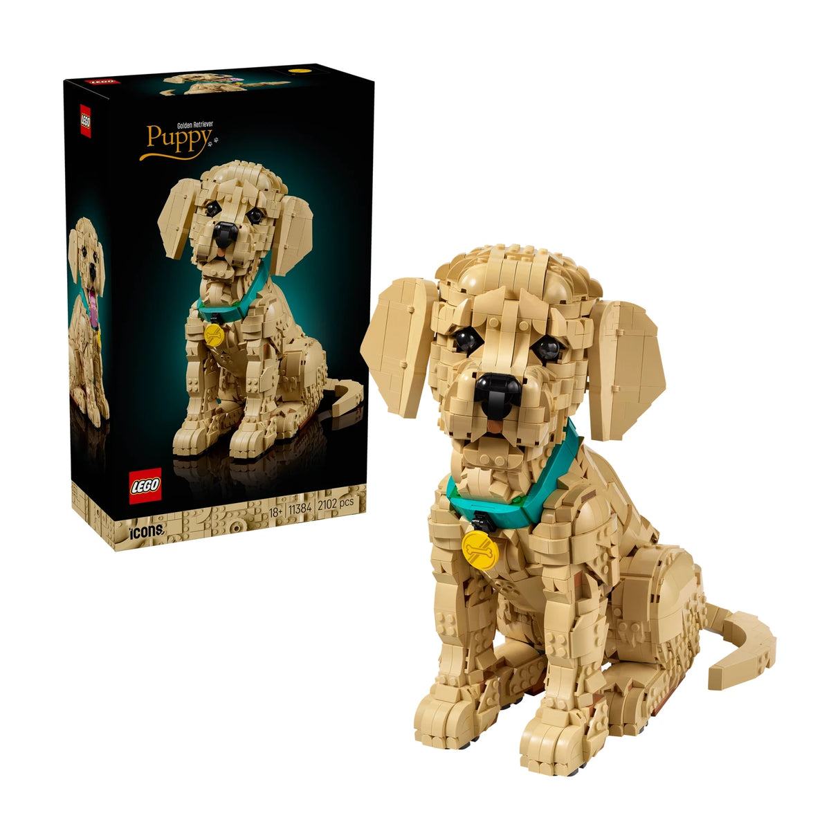 Golden Retriever Puppy