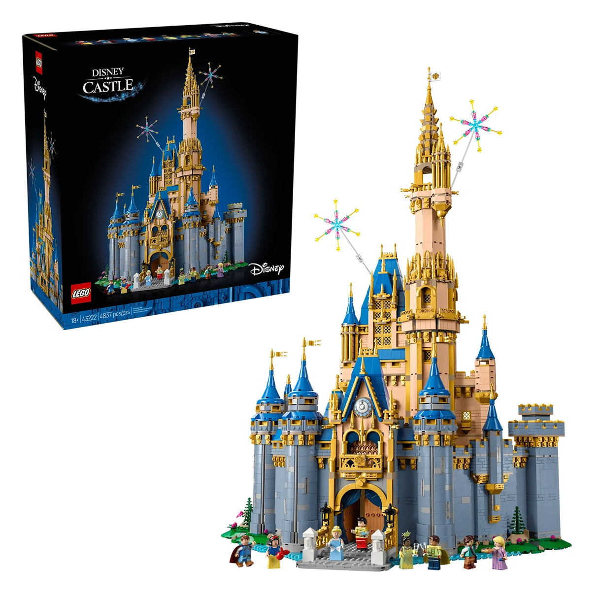Disney Castle