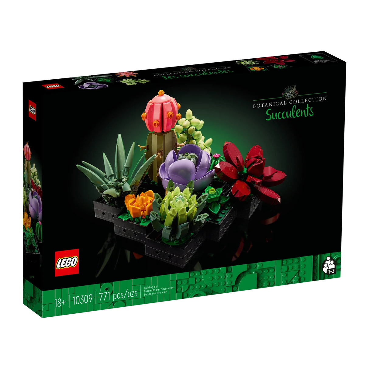 Botanical Collection Bundle