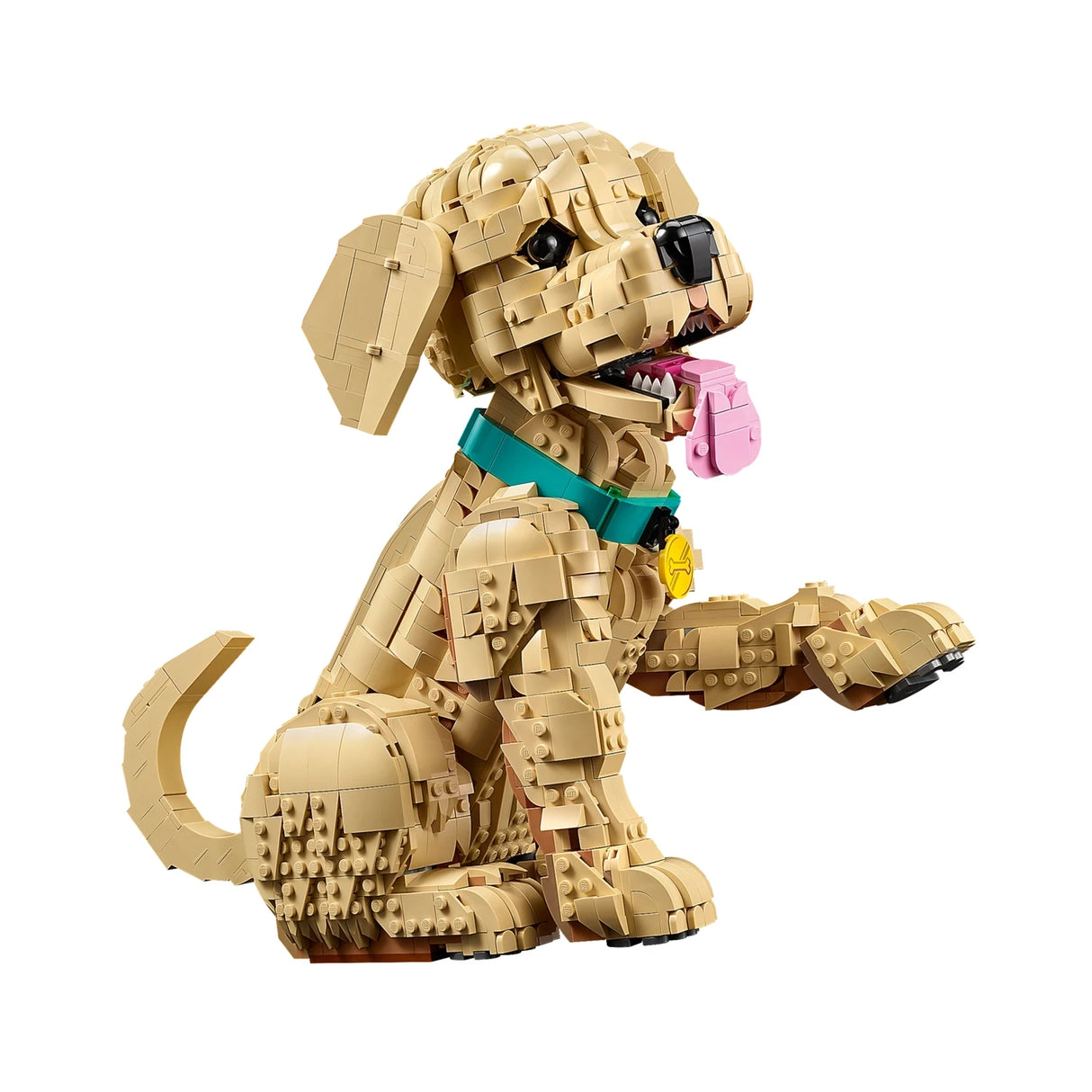 Golden Retriever Puppy