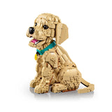 Golden Retriever Puppy