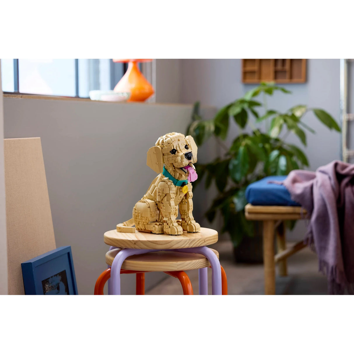 Golden Retriever Puppy