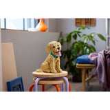 Golden Retriever Puppy