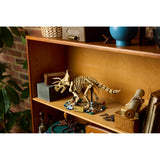 Dinosaur Fossils: Tyrannosaurus rex & Triceratops Bundle