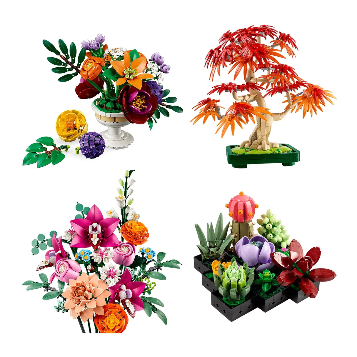 Botanical Collection Bundle