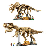 Dinosaur Fossils: Tyrannosaurus rex & Triceratops Bundle