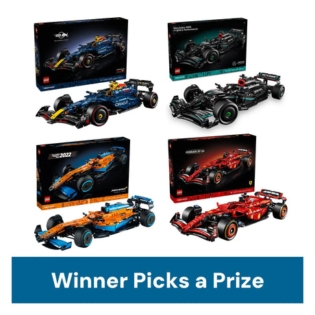 LEGO Winner Picks a Prize (#2)